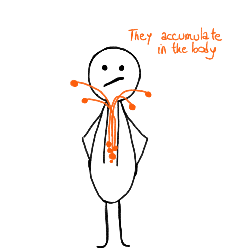 They accumulate in the body